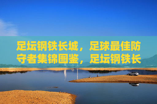 足坛钢铁长城,足球最佳防守者集锦图鉴,足坛钢铁长城,足球最佳防守者集锦图鉴