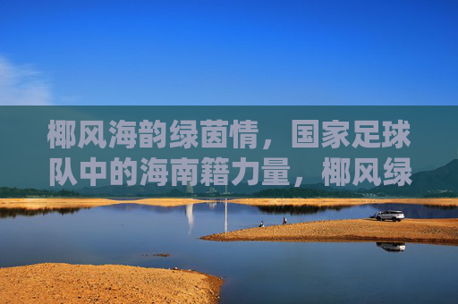 椰风海韵绿茵情,国家足球队中的海南籍力量,椰风绿韵,国家足球队中的海南力量