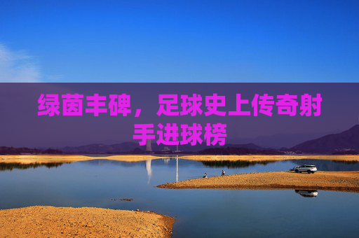 绿茵丰碑,足球史上传奇射手进球榜