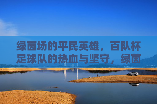 绿茵场的平民英雄,百队杯足球队的热血与坚守,绿茵场平民英雄,百队杯足球队的热血坚守