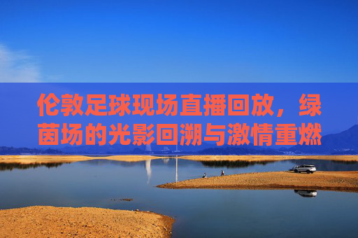 伦敦足球现场直播回放,绿茵场的光影回溯与激情重燃