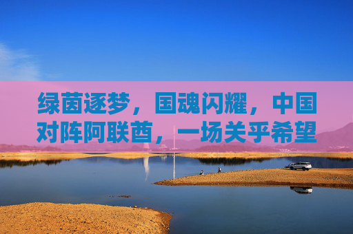 绿茵逐梦,国魂闪耀,中国对阵阿联酋,一场关乎希望的对决,中国VS阿联酋,绿茵逐梦,国魂闪耀的希望对决
