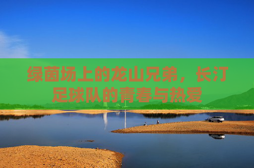 绿茵场上的龙山兄弟,长汀足球队的青春与热爱