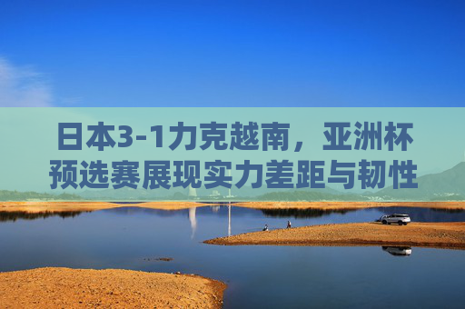 日本3-1力克越南，亚洲杯预选赛展现实力差距与韧性，日本3-1力克越南，亚洲杯预选赛展现实力差距与韧性
