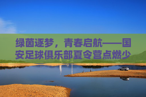 绿茵逐梦,青春启航——国安足球俱乐部夏令营点燃少年足球热情,绿茵逐梦,青春启航,国安夏令营点燃少年足球热情