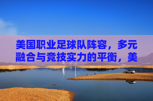 美国职业足球队阵容,多元融合与竞技实力的平衡,美国职业足球队阵容,多元融合与竞技实力的平衡
