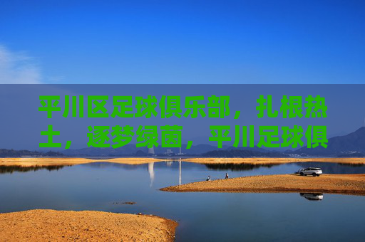平川区足球俱乐部，扎根热土，逐梦绿茵，平川足球俱乐部扎根热土逐梦绿茵