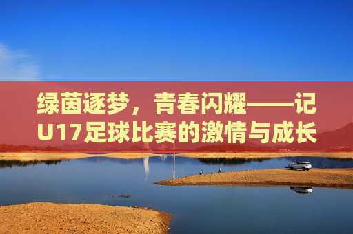 绿茵逐梦，青春闪耀——记U17足球比赛的激情与成长，绿茵逐梦，青春成长