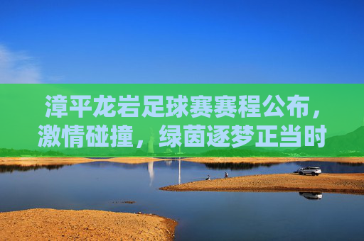 漳平龙岩足球赛赛程公布，激情碰撞，绿茵逐梦正当时，漳平龙岩足球赛赛程公布，激情碰撞绿茵逐梦正当时