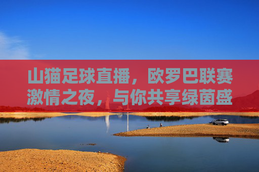 山猫足球直播,欧罗巴联赛激情之夜,与你共享绿茵盛宴,欧罗巴联赛激情之夜,山猫足球直播共享绿茵盛宴