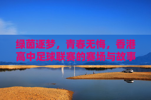 绿茵逐梦,青春无悔,香港高中足球联赛的赛场与故事,绿茵逐梦,青春无悔,香港高中足球联赛赛场故事