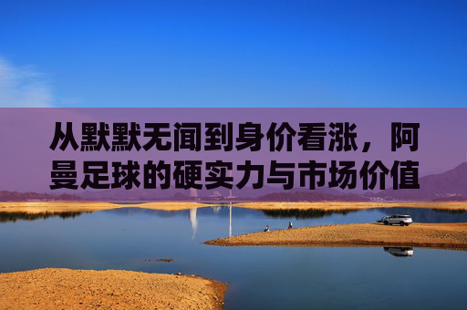从默默无闻到身价看涨,阿曼足球的硬实力与市场价值,阿曼足球,硬实力崛起与市场价值看涨