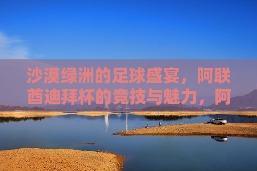 沙漠绿洲的足球盛宴,阿联酋迪拜杯的竞技与魅力,阿联酋迪拜杯,沙漠绿洲的足球竞技与魅力