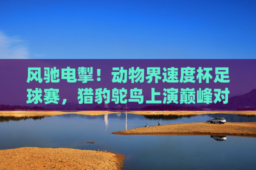 风驰电掣！动物界速度杯足球赛，猎豹鸵鸟上演巅峰对决，风驰电掣！猎豹鸵鸟巅峰对决——动物界速度杯足球赛