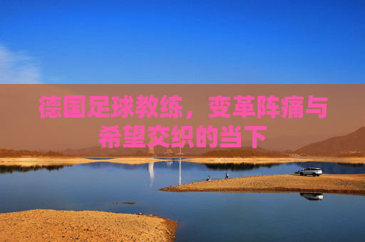 德国足球教练,变革阵痛与希望交织的当下
