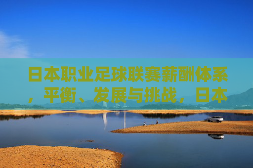日本职业足球联赛薪酬体系,平衡、发展与挑战,日本职业足球联赛薪酬体系,平衡、发展与挑战