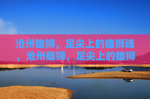 沧卅雄狮,足尖上的雄狮魂,沧卅雄狮,足尖上的雄狮魂