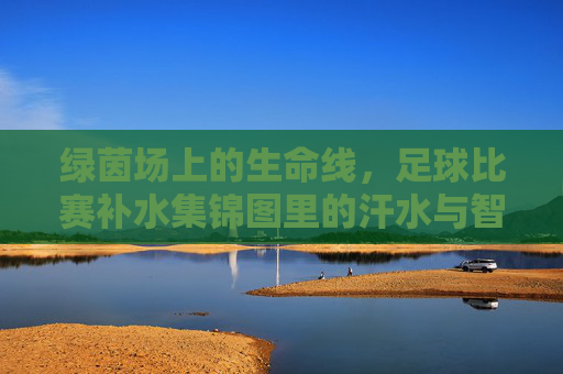 绿茵场上的生命线,足球比赛补水集锦图里的汗水与智慧,汗水与智慧,绿茵场的补水生命线