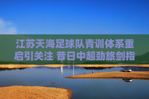 江苏天海足球队青训体系重启引关注 昔日中超劲旅剑指草根足球复兴,江苏天海青训重启 昔日中超劲旅剑指草根复兴