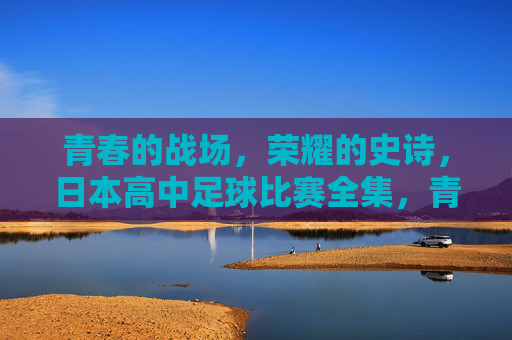 青春的战场，荣耀的史诗，日本高中足球比赛全集，青春战场·荣耀史诗，日本高中足球全集