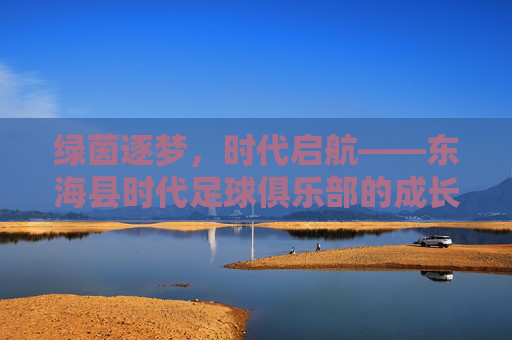 绿茵逐梦，时代启航——东海县时代足球俱乐部的成长与力量，时代启航，逐梦成长——东海县时代足球俱乐部