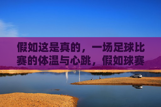 假如这是真的,一场足球比赛的体温与心跳,假如球赛有心跳与体温