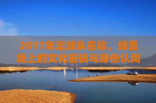 2017年足球队名称，绿茵场上的文化密码与身份认同，2017年足球队名称，绿茵场上的文化密码与身份认同