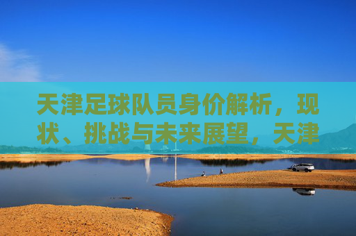 天津足球队员身价解析,现状、挑战与未来展望,天津足球队员身价,现状、挑战与未来展望