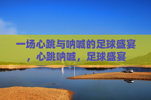 一场心跳与呐喊的足球盛宴，心跳呐喊，足球盛宴