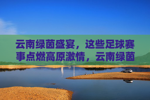 云南绿茵盛宴,这些足球赛事点燃高原激情,云南绿茵盛宴点燃高原足球激情
