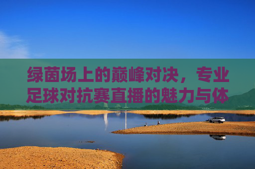 绿茵场上的巅峰对决,专业足球对抗赛直播的魅力与体验,绿茵巅峰对决,专业足球对抗赛直播的魅力体验