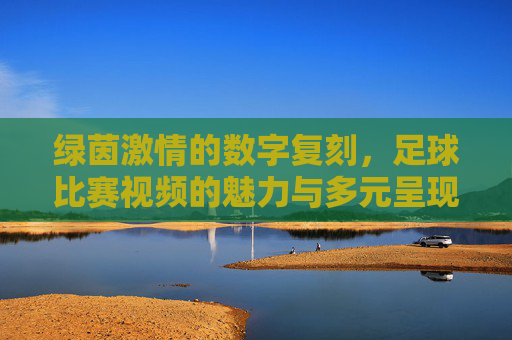 绿茵激情的数字复刻,足球比赛视频的魅力与多元呈现,足球比赛视频,绿茵激情的数字复刻与多元魅力