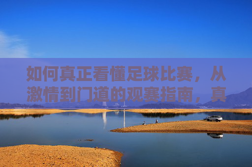 如何真正看懂足球比赛，从激情到门道的观赛指南，真正看懂足球，从激情观赛到门道指南