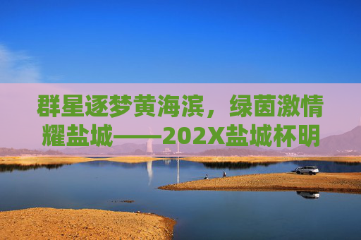 群星逐梦黄海滨,绿茵激情耀盐城——202X盐城杯明星足球赛燃情落幕,202X盐城杯明星足球赛,群星逐梦盐城,绿茵激情落幕