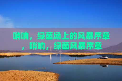 哨响，绿茵场上的风暴序章，哨响，绿茵风暴序章