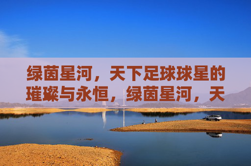 绿茵星河,天下足球球星的璀璨与永恒,绿茵星河,天下足球球星的璀璨与永恒