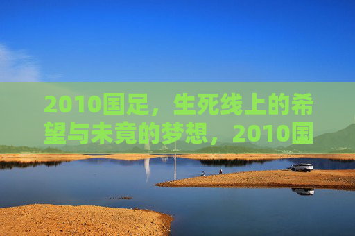 2010国足，生死线上的希望与未竟的梦想，2010国足，生死线上的希望与未竟之梦