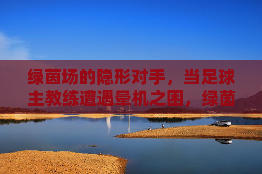 绿茵场的隐形对手,当足球主教练遭遇晕机之困,绿茵场隐形对手,足球教练的晕机之困