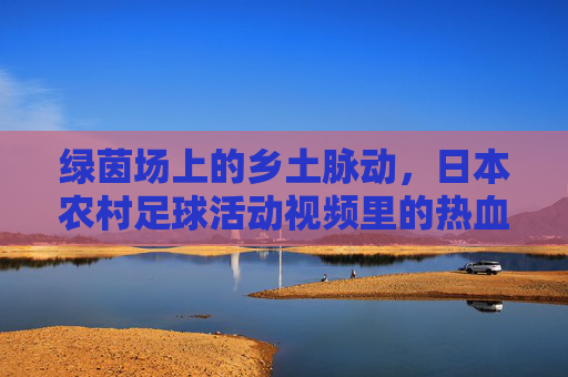 绿茵场上的乡土脉动,日本农村足球活动视频里的热血与温情,绿茵场上的乡土脉动,日本农村足球的热血与温情