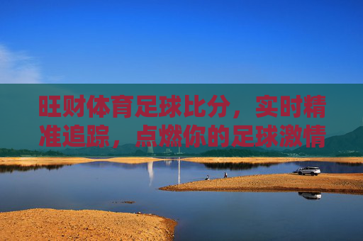 旺财体育足球比分,实时精准追踪,点燃你的足球激情