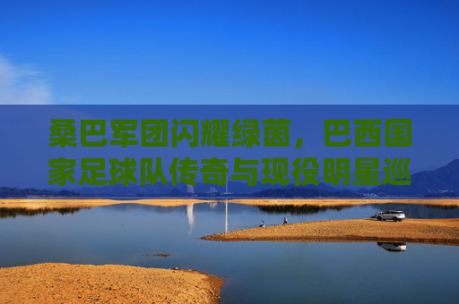 桑巴军团闪耀绿茵,巴西国家足球队传奇与现役明星巡礼,桑巴军团闪耀绿茵,传奇与现役明星巡礼