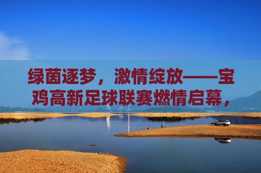 绿茵逐梦，激情绽放——宝鸡高新足球联赛燃情启幕，绿茵逐梦，宝鸡高新足球联赛燃情启幕