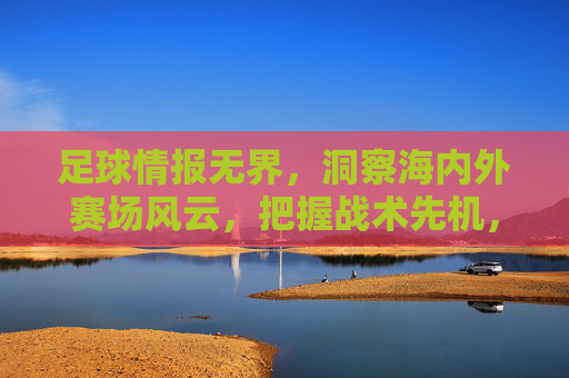 足球情报无界,洞察海内外赛场风云,把握战术先机,足球情报无界,洞察海内外赛场先机
