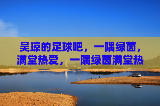 吴琼的足球吧，一隅绿茵，满堂热爱，一隅绿茵满堂热爱，吴琼的足球吧