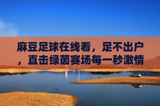 麻豆足球在线看,足不出户,直击绿茵赛场每一秒激情,麻豆足球在线看,足不出户直击赛场激情