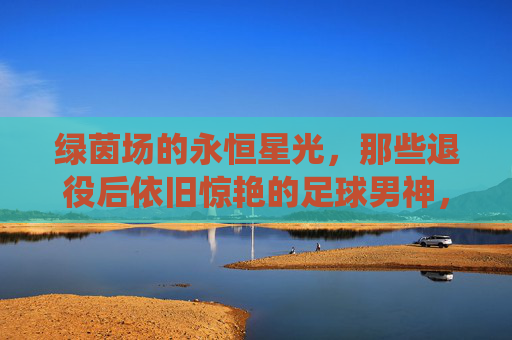 绿茵场的永恒星光，那些退役后依旧惊艳的足球男神，绿茵场永恒星光，退役足球男神的惊艳不落幕
