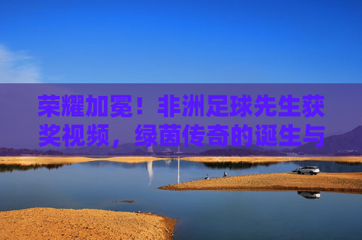 荣耀加冕！非洲足球先生获奖视频，绿茵传奇的诞生与非洲足球的荣光，荣耀加冕！非洲足球先生获奖视频，绿茵传奇诞生与非洲足球荣光