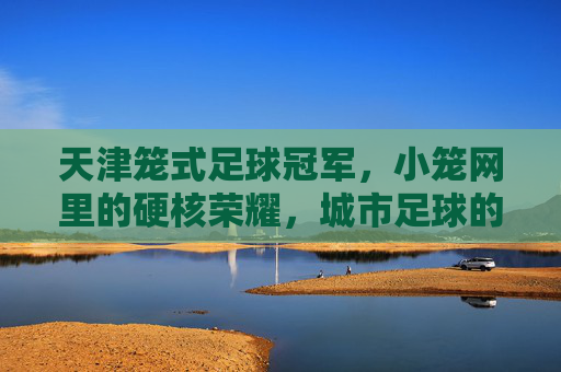 天津笼式足球冠军,小笼网里的硬核荣耀,城市足球的热血心跳,天津笼式足球冠军,小笼网里的硬核荣耀,城市足球的热血心跳