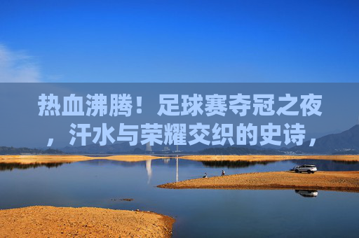 热血沸腾！足球赛夺冠之夜，汗水与荣耀交织的史诗，热血沸腾！足球夺冠之夜，汗水铸就荣耀史诗