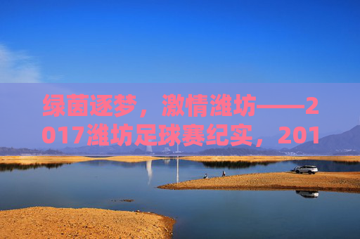 绿茵逐梦,激情潍坊——2017潍坊足球赛纪实,2017潍坊绿茵逐梦足球赛纪实